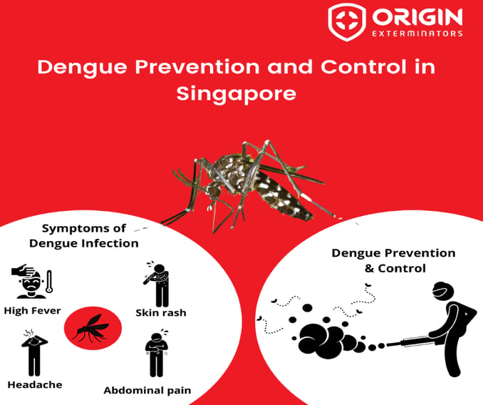 how-to-prevent-dengue-from-spreading